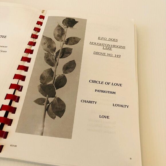 Vintage 90s Cookbook "Home Cookin' Houghton-Higgins Lake BPO Does" - Picture 2 of 10